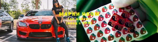 тгк Богданович