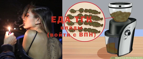 гашик Бородино