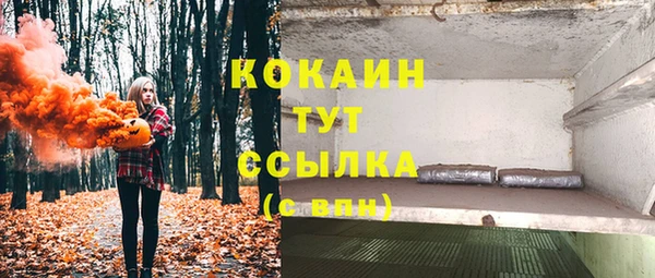 тгк Богданович