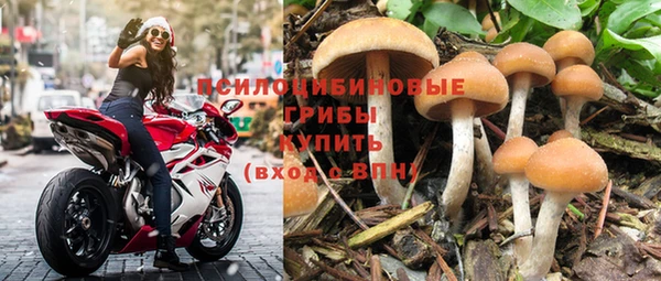 а пвп мука Богородск