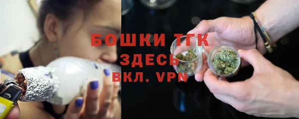 тгк Богданович