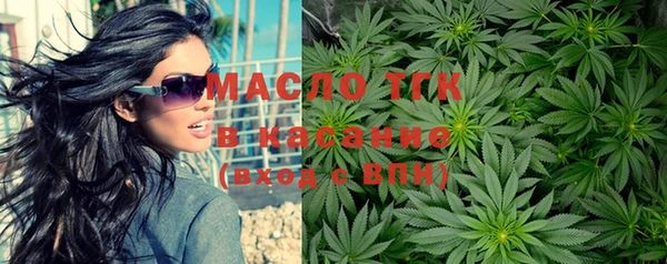 гашик Бородино