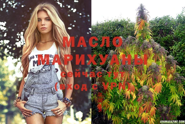 гашик Бородино