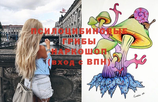 тгк Богданович